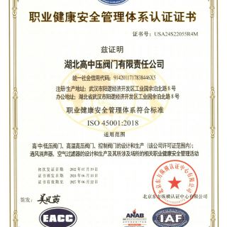 ISO45001職業(yè)健康安全管理體系證書（中文）